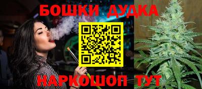 стаф Бузулук