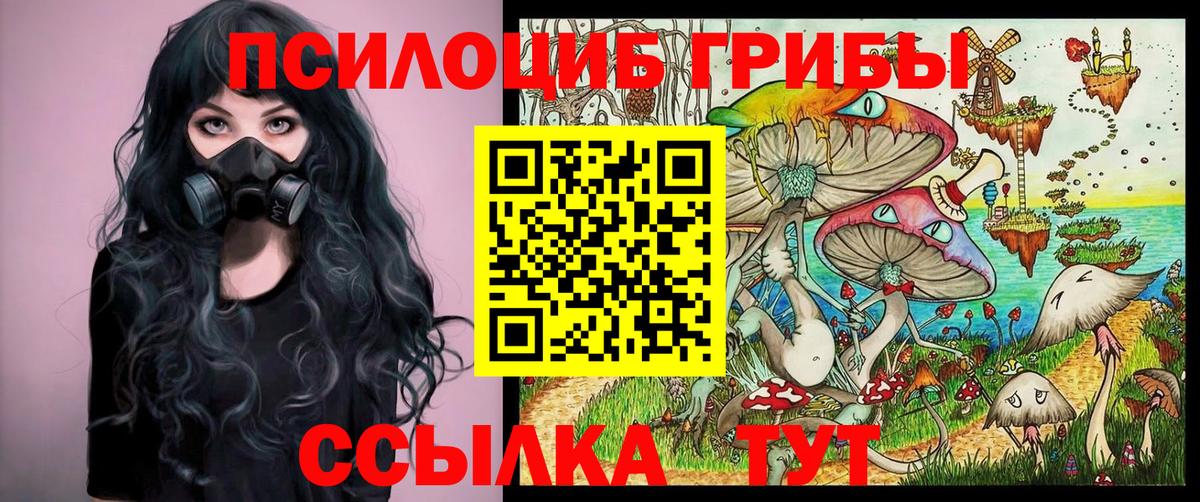 Псилоцибиновые грибы Cubensis Новоалтайск