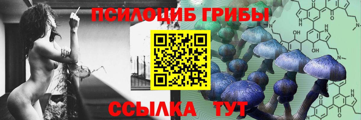 Псилоцибиновые грибы мицелий  Вход с VPN  Новоалтайск 