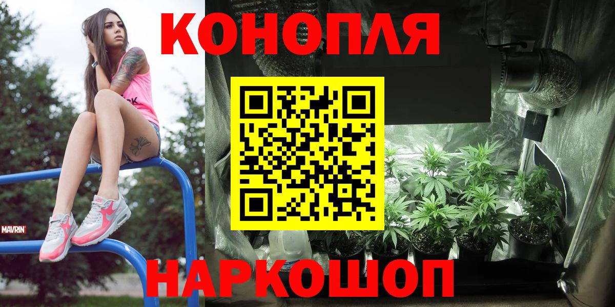 Бошки Шишки планчик  Конопля гибрид  Вход с VPN  Конопля планчик  Новоалтайск 